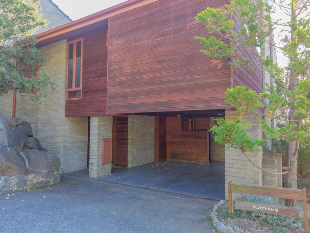 Platypus 19 Mclure Circuit Villa Jindabyne Dış mekan fotoğraf